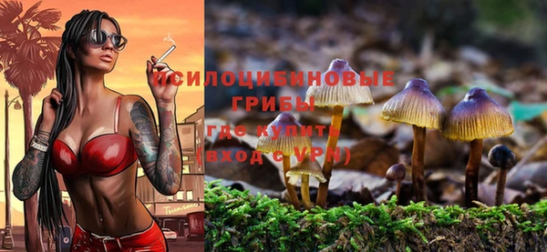 дживик Кулебаки