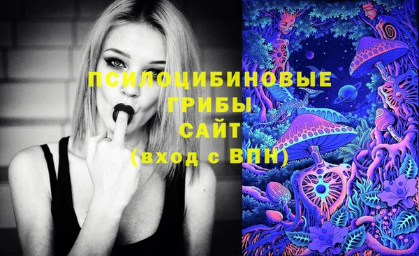 молекула духа Кукмор