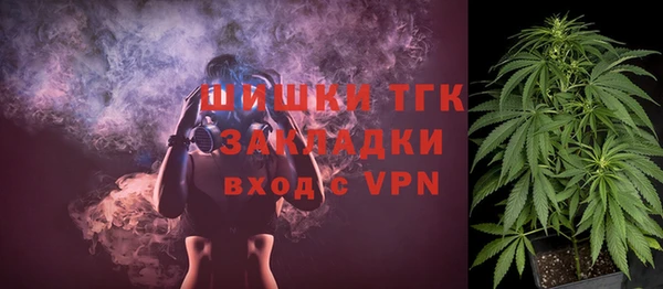 дживик Кулебаки